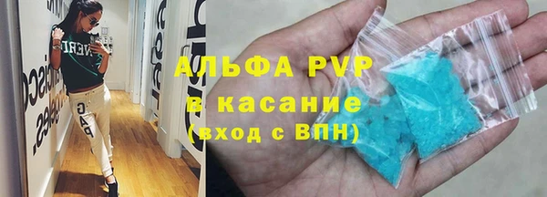 стафф Алзамай