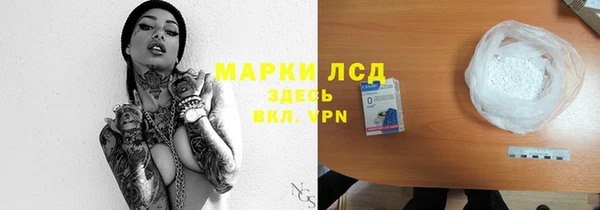 стафф Алзамай