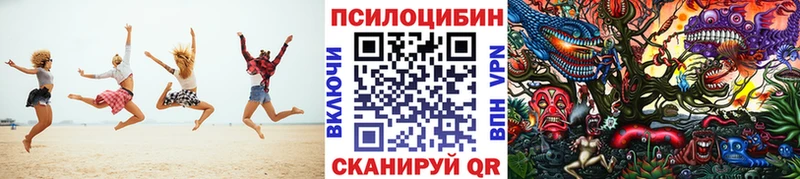 Псилоцибиновые грибы GOLDEN TEACHER  продажа наркотиков  мориарти Telegram  Ноябрьск 